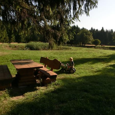 Kammbaude Daire Neuhermsdorf Dış mekan fotoğraf