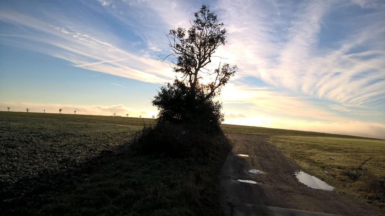 Kammbaude Daire Neuhermsdorf Dış mekan fotoğraf
